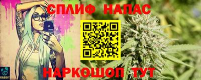 прущие грибы Краснодар