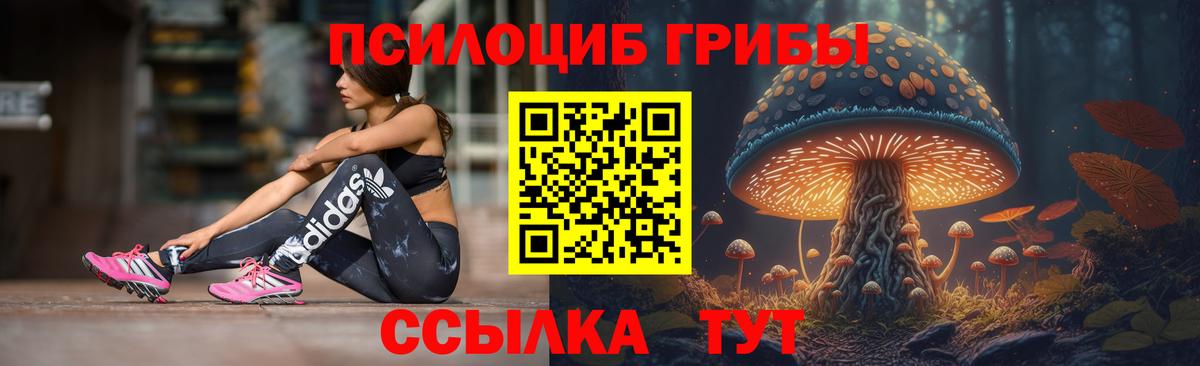 Галлюциногенные грибы Psilocybe  Галлюциногенные грибы Cubensis  Вход с VPN  хочу наркоту  Касимов 